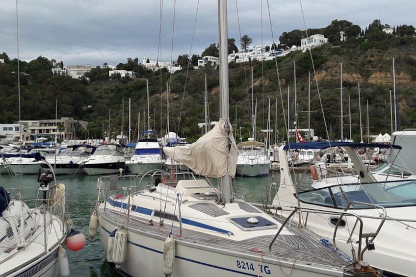 Una marina con diverse barche a vela ormeggiate, una collina sullo sfondo con edifici e un cielo nuvoloso. 5