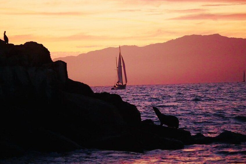 Old Plank Adventures: Sail into Deep Tranquility 5