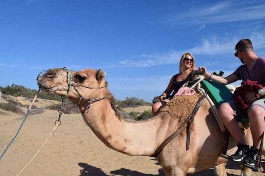 A camel with a saddle and a person riding it. 1