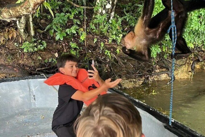 Monkey Safari in the Panama Canal - Small Group Boat Tour 2