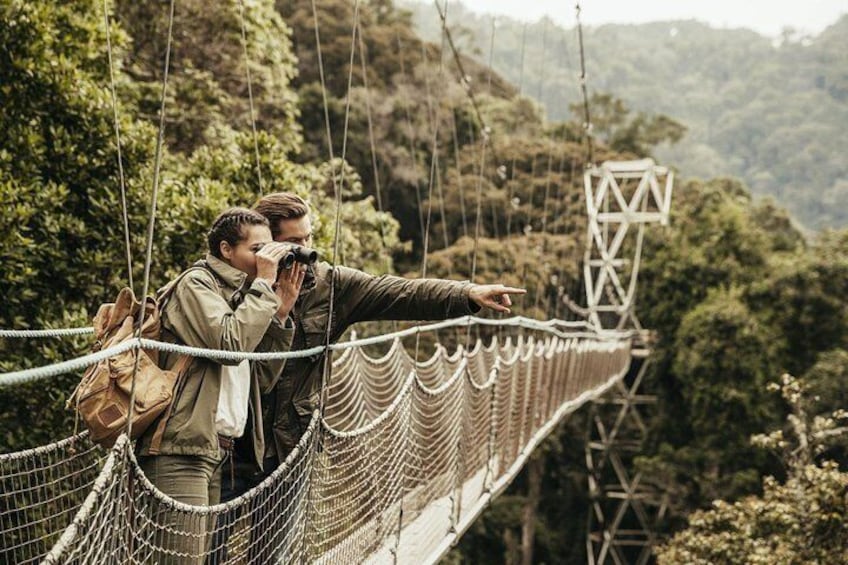 Nyungwe National Park visit 1