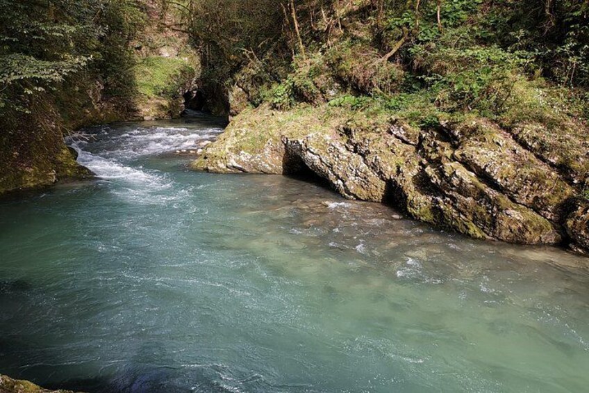 Een rivier die door een rotsachtige kloof stroomt, omringd door dicht bos. 1
