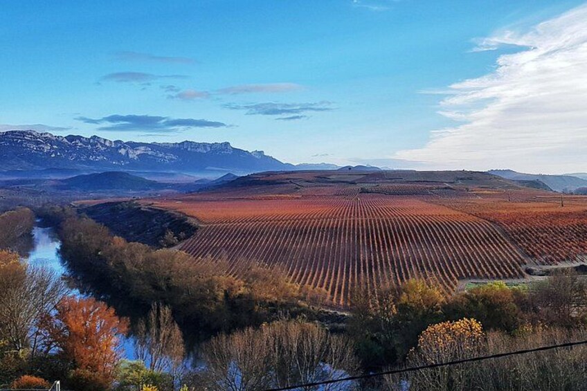 Rioja Wine Route with winery owner 2
