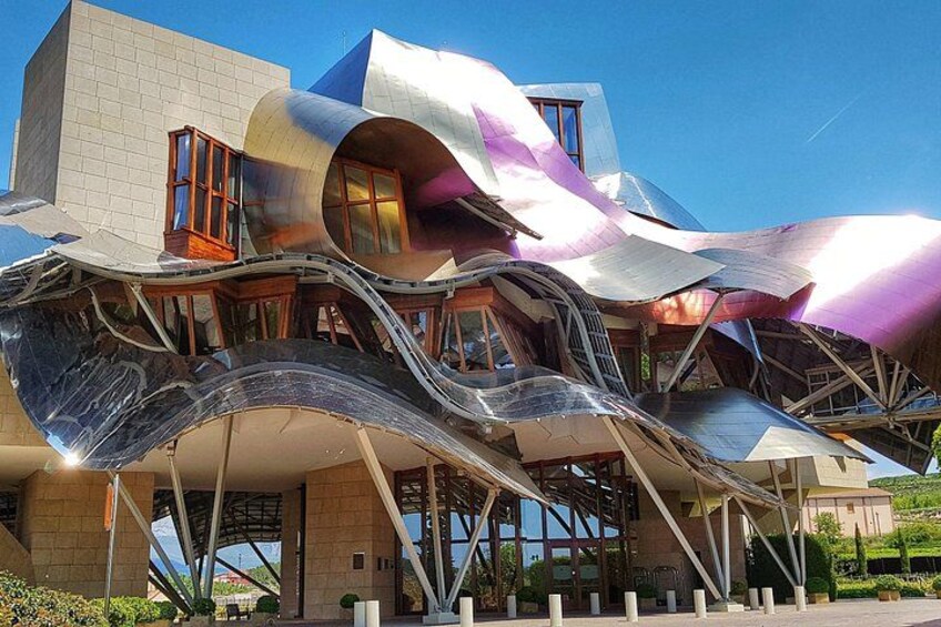 Rioja Wine Route with winery owner 5