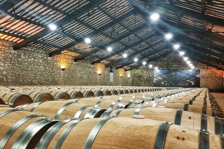 Rioja Wine Route with winery owner 3
