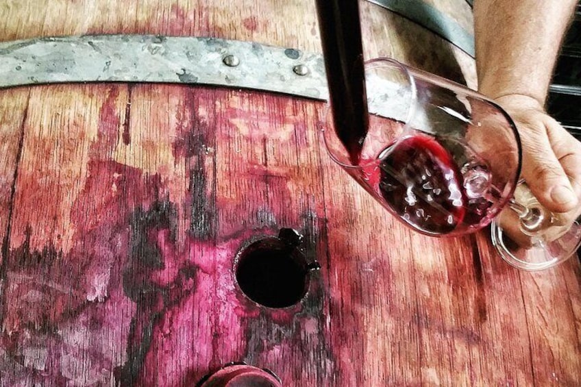 Rioja Wine Route with winery owner 2