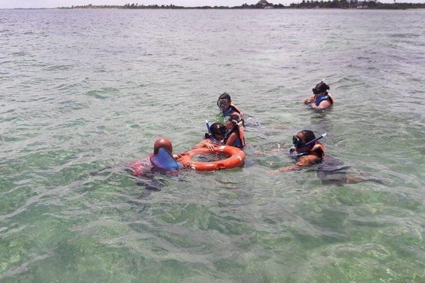Personas haciendo snorkel en aguas cristalinas con un flotador circular. 1