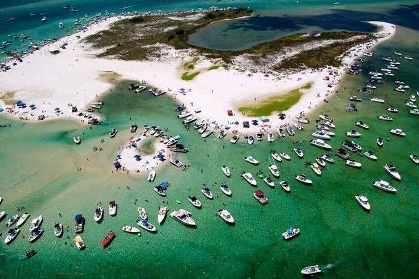 Bird Island 3