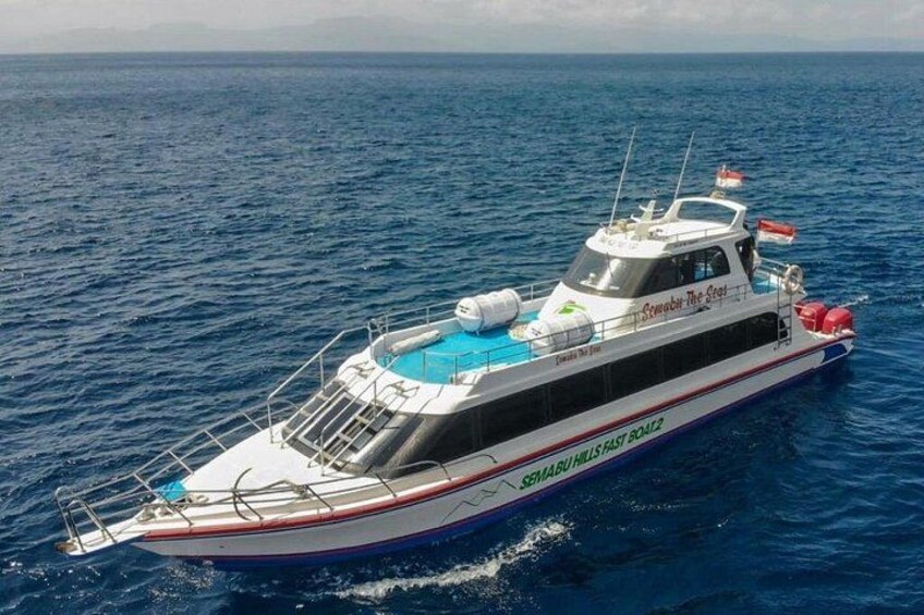 Un barco blanco y rojo llamado 'Seahorse The Sea' con una piscina azul en la cubierta, navegando en el océano. 5