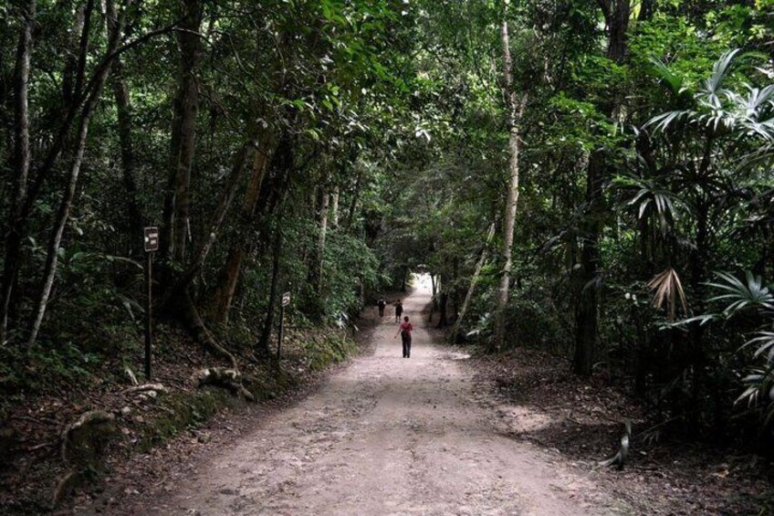 Private Tikal and Yaxha Exclusive Tour