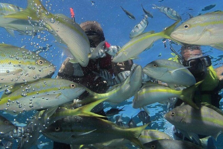 VIP Party Boat & Snorkeling at Sosua Bay 3