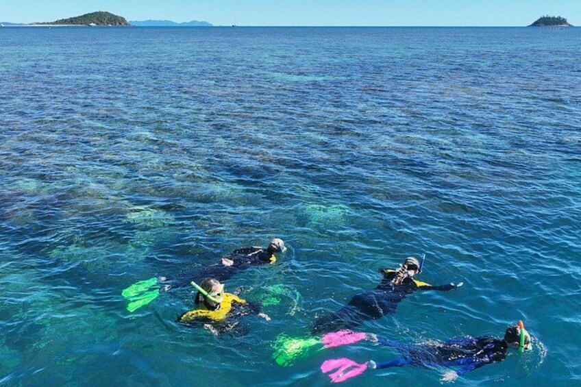 Kids snorkelling the Whitsunday Islands 3