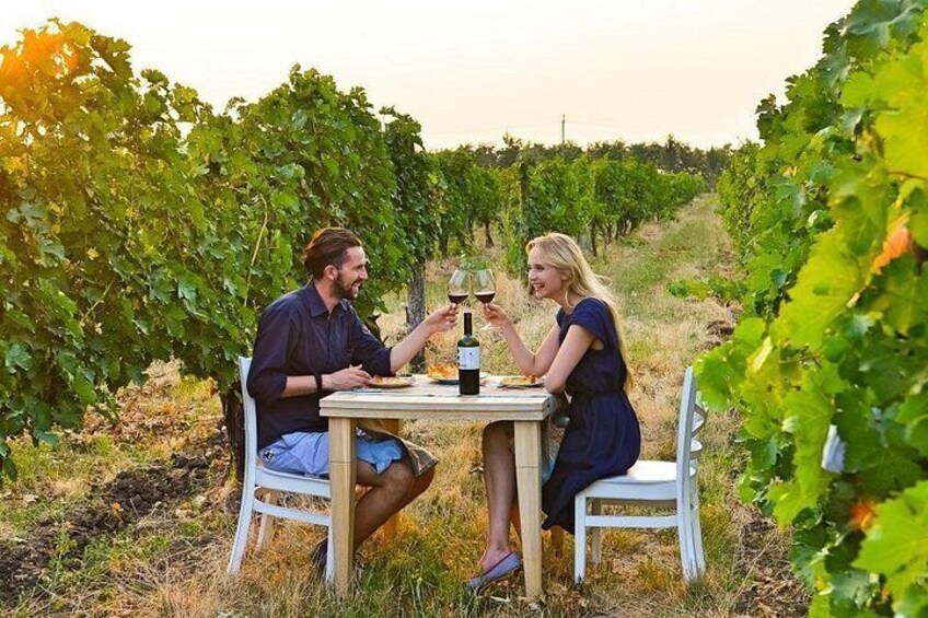 Un couple trinque au vin dans un vignoble. 1