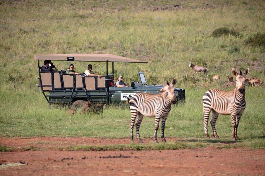 Rhino & Lion Nature Reserve 3