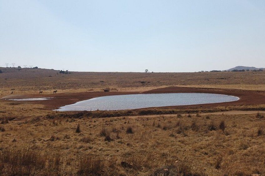 Rhino & Lion Nature Reserve 3