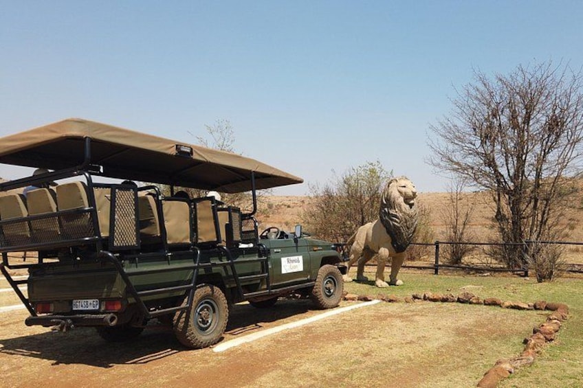 A safari vehicle with a roof and luggage, parked near a lion statue. 2