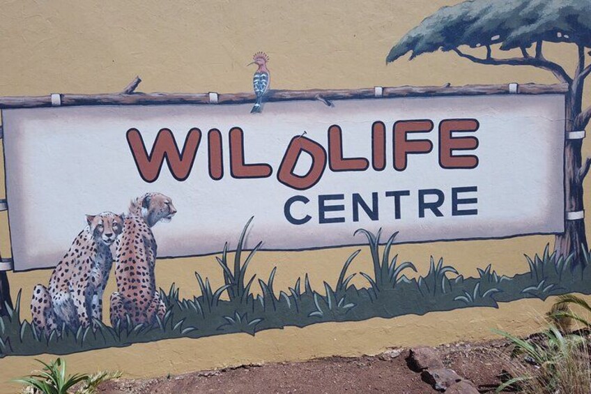 Rhino & Lion Nature Reserve 2