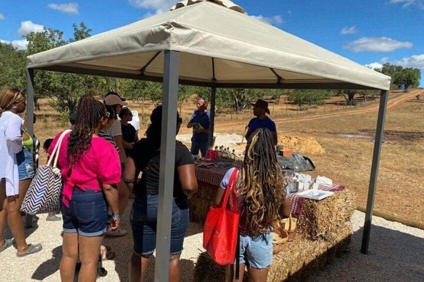 Explore the Algarve Countryside - Half Day Jeep Safari Trip 2