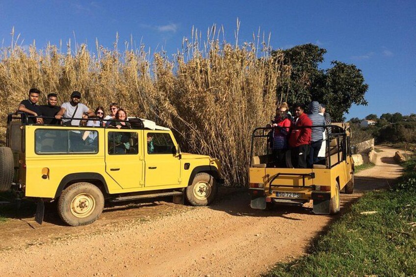 Jeep Safari, explore the nature 5