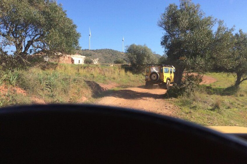 Jeep Safari, explore the nature 2
