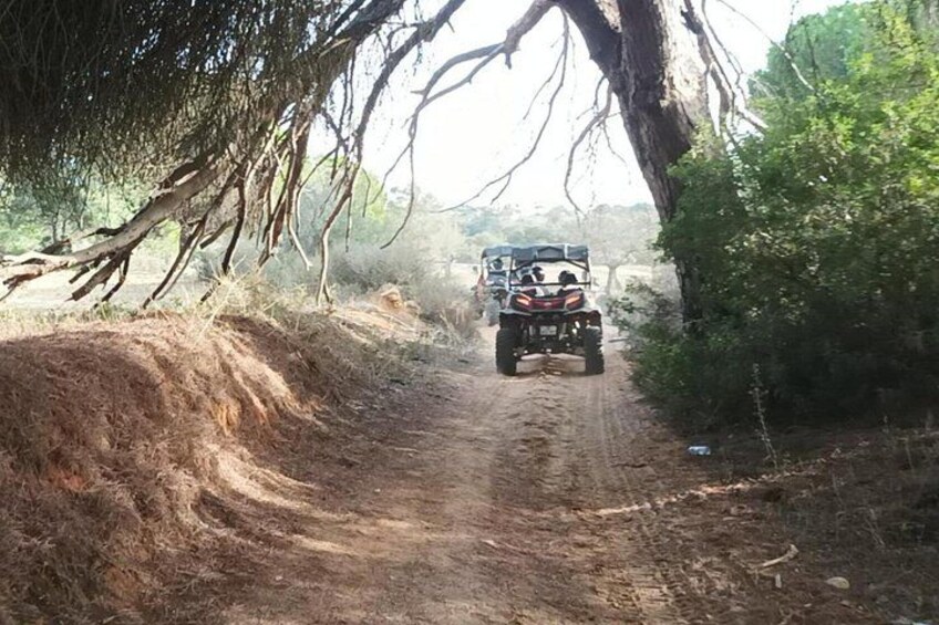 Buggy Adventure 5