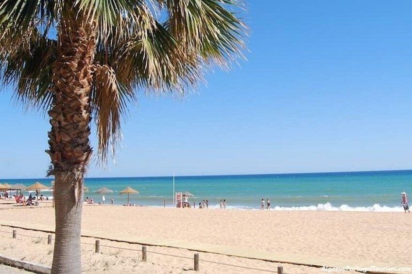Ein Strand mit Palmen, Sonnenschirmen und Menschen. 3