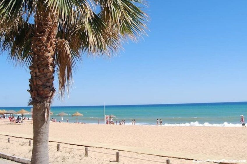 Een strand met palmbomen, parasols en mensen. 4