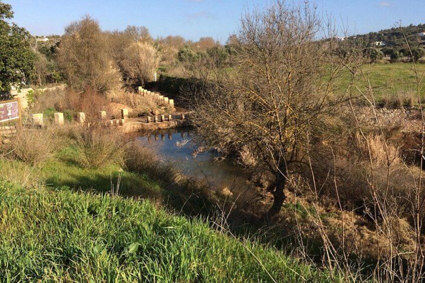 A river with a bridge, trees, and grassy banks. 5