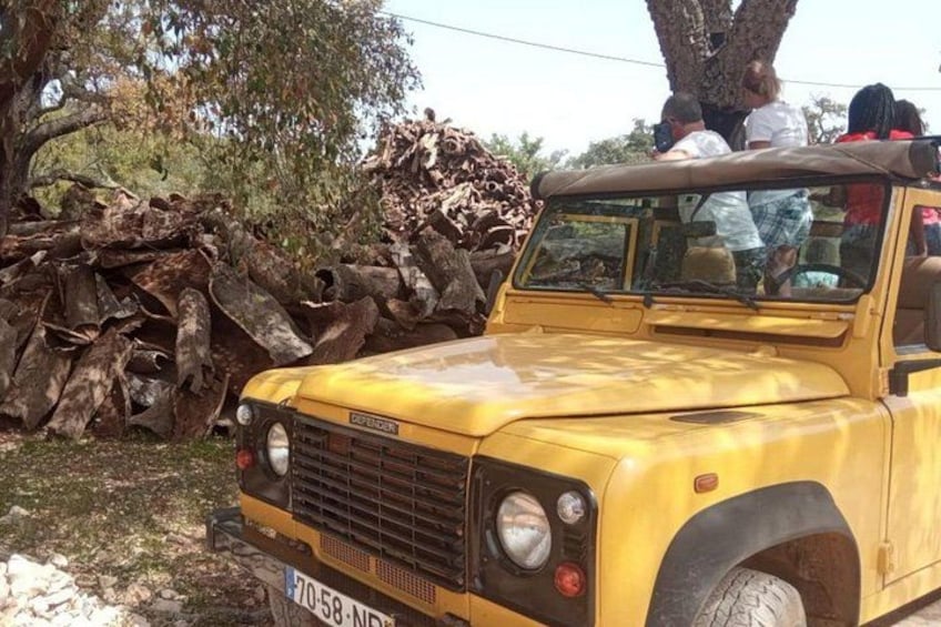 A yellow off-road vehicle parked near a pile of logs. 3