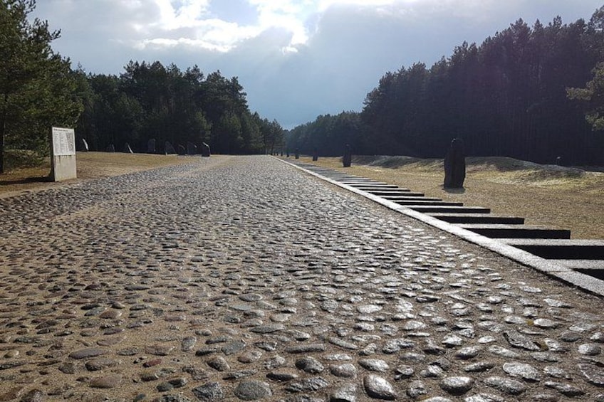A paved pathway with stone slabs, surrounded by a forested area and a clear sky. 4