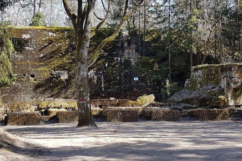 Wolf's Lair & Treblinka Tour in 1 day from Warsaw 1