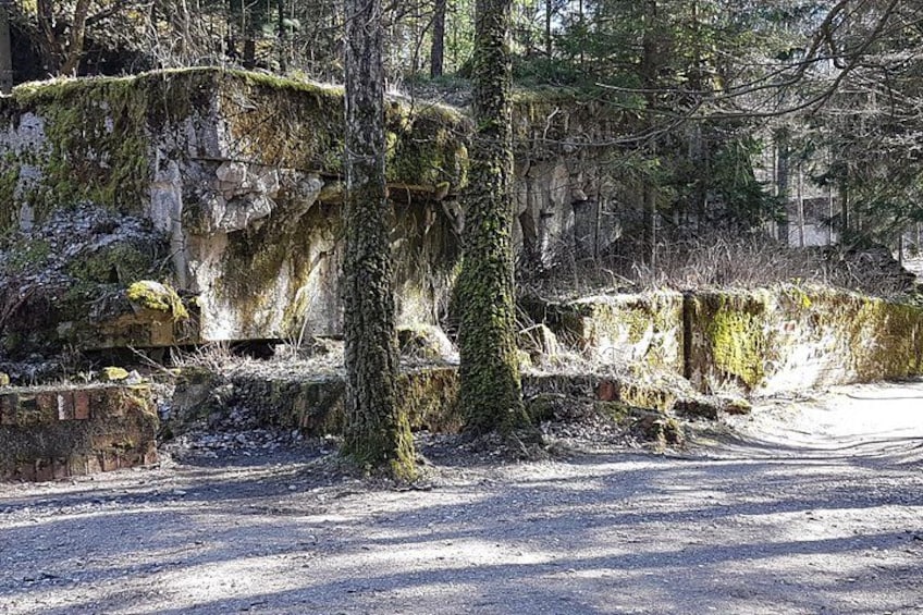 A forested area with a dirt path, moss-covered rocks, and trees. 3