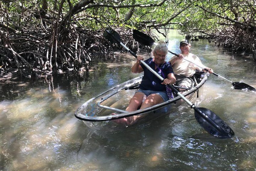 Mangrove tunnel adventure in a CLEAR kayak 4