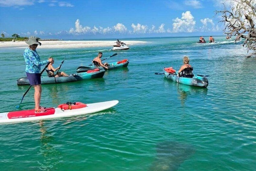 Paddling by a manatee 3