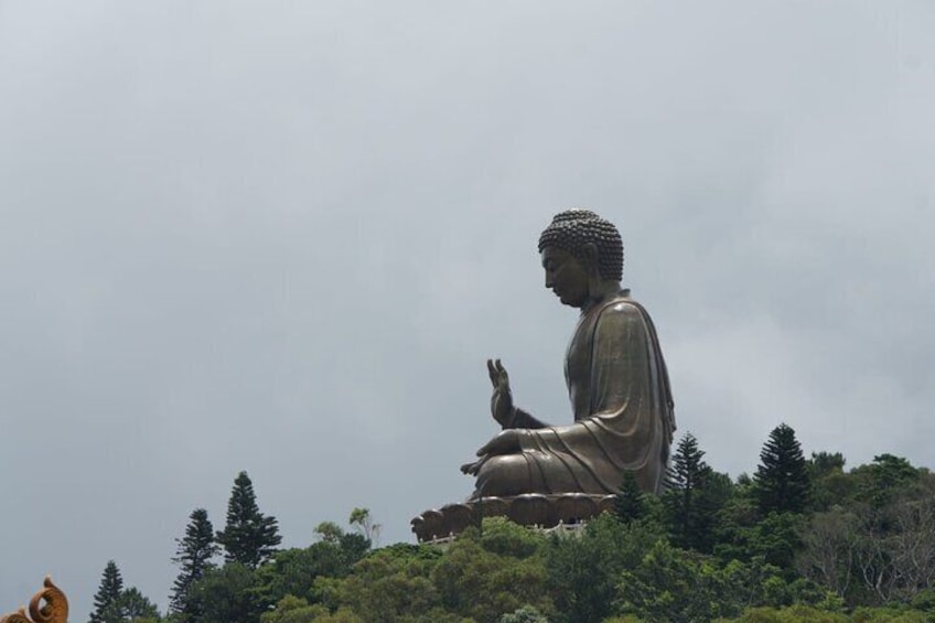 A large seated Buddha statue on a hill with surrounding trees. 4