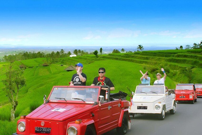 A group of people in a red and white vehicle driving through a green landscape. 2