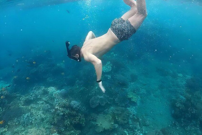 A person snorkeling underwater with a snorkel and mask. 4