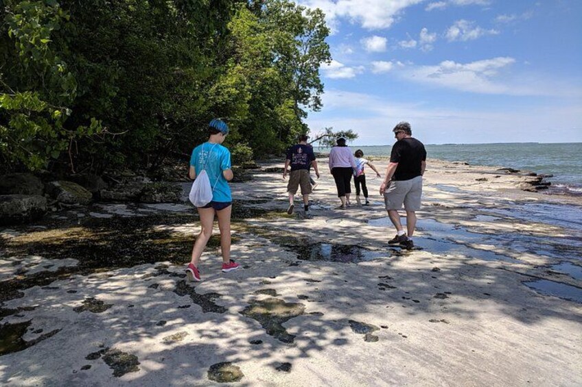A group of people walking on a sandy beach with trees and rocks. 3