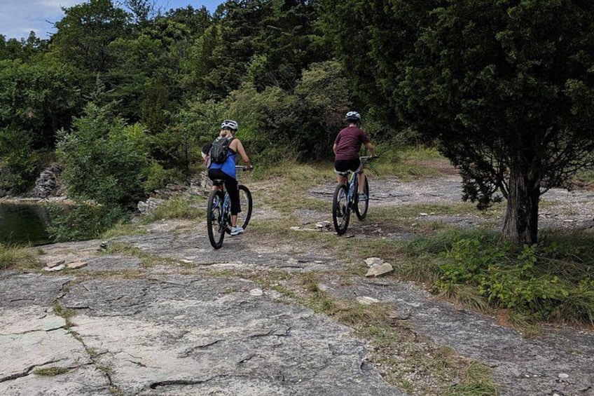 Two cyclists on a rocky trail surrounded by dense forest. 5