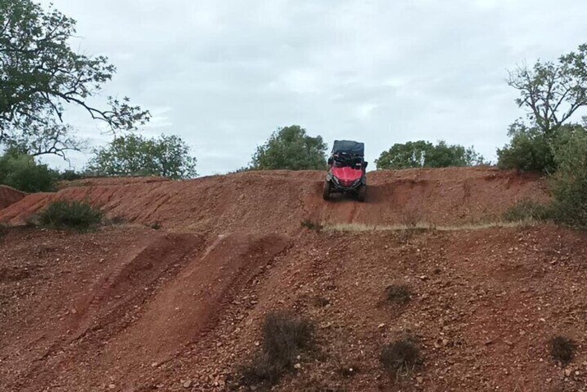 Buggy Adventure