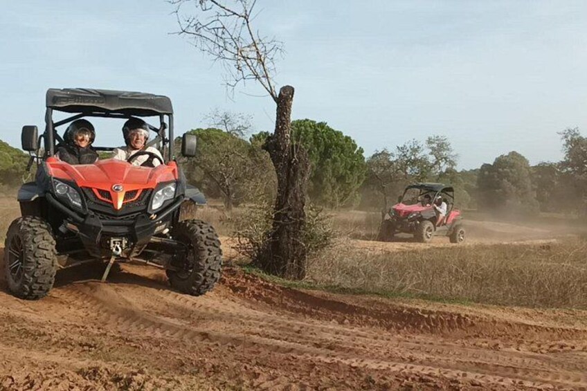 Buggy Adventure 3