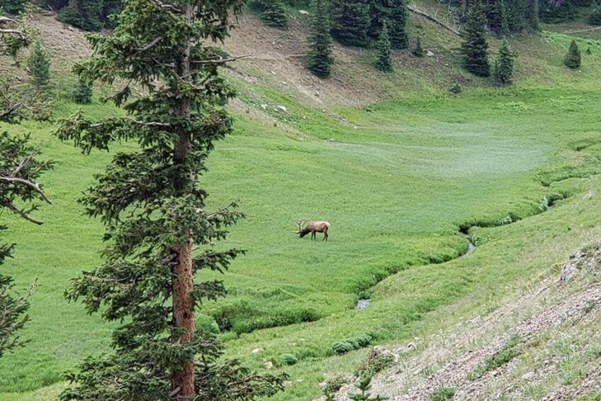 Continental Divide 3