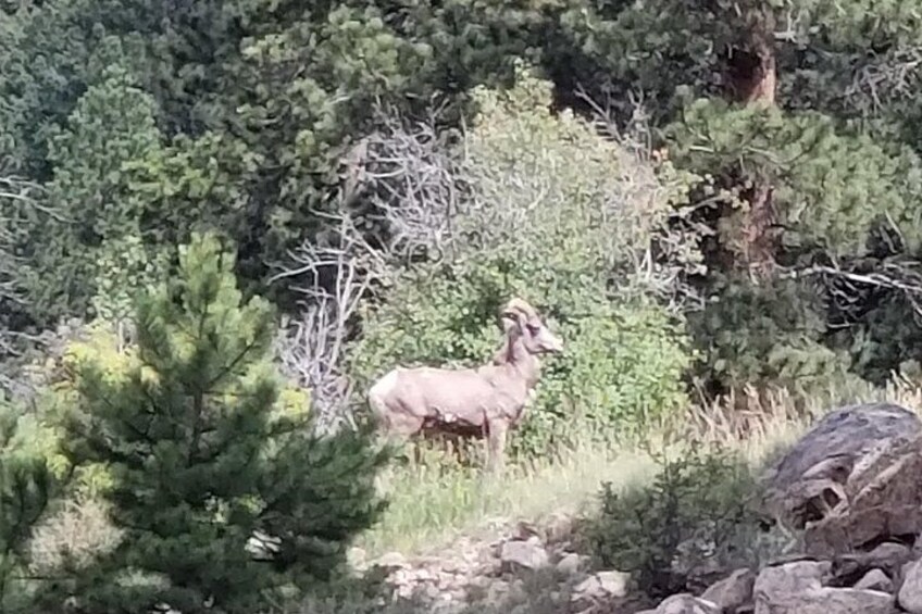Rocky Mountain National Park 1