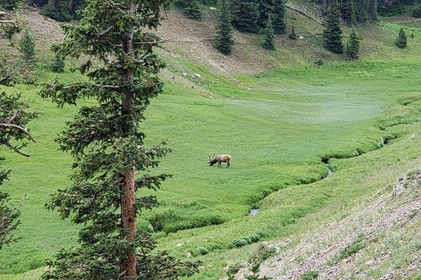 Continental Divide 5