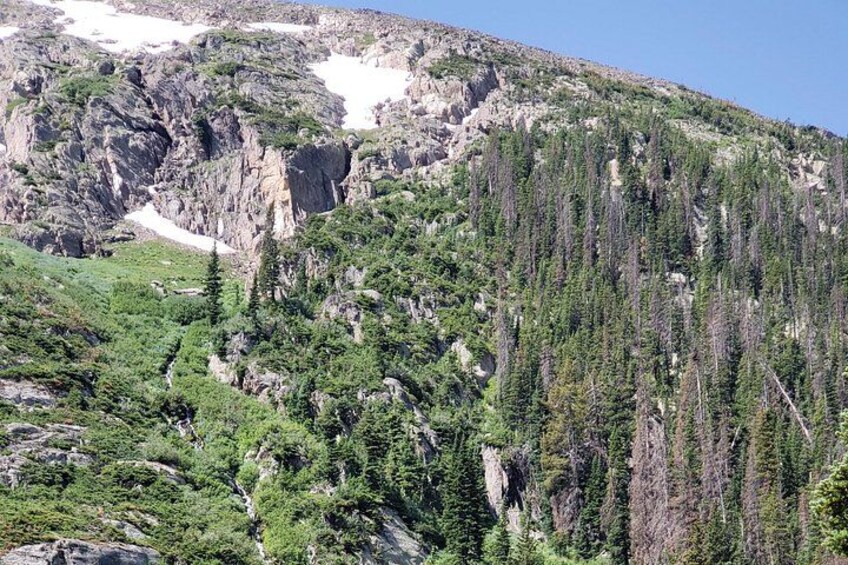 Old Fall River Road 3