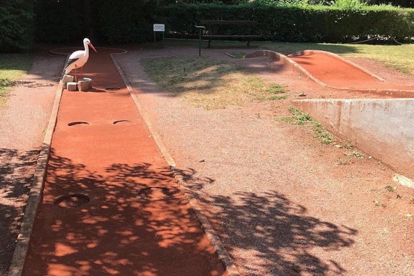 A stork standing on a red path in a park. 3