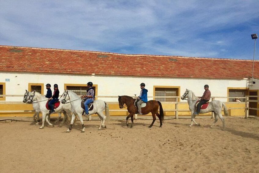 Horseback riding through the Calblanque Natural Park 1