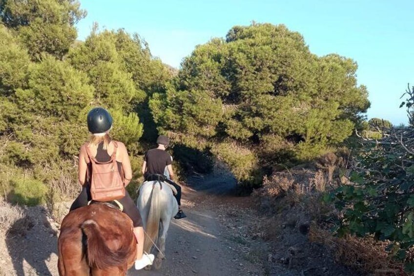 Horseback riding through the Calblanque Natural Park