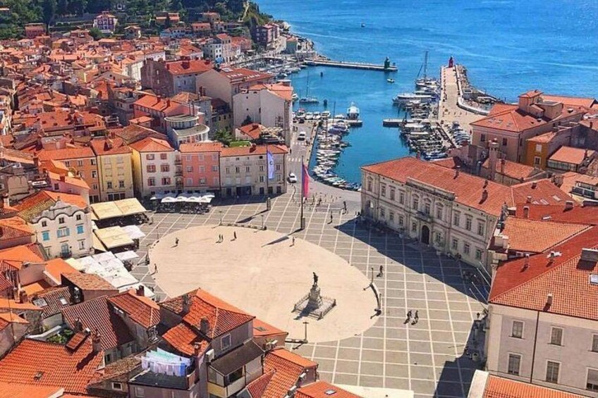 Slovenian Coast E-Bike Tour with Transfer from Ljubljana 4