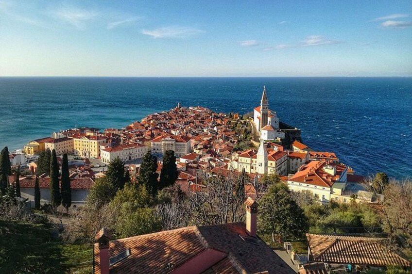 Slovenian Coast E-Bike Tour with Transfer from Ljubljana 2